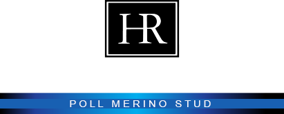 Hamilton Run